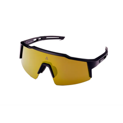 Lentes Payle Phoenix Omega