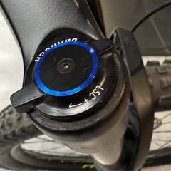 Turbo Levo Expert 2019