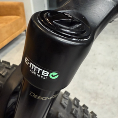 Turbo Levo Expert 2019