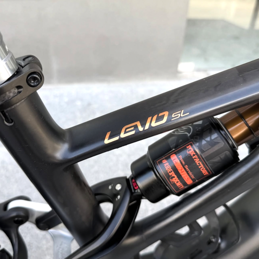 S-Works Turbo Levo SL 2021