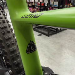 Turbo Levo Expert 2019