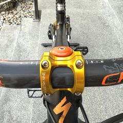 S-Works Turbo Levo SL 2021