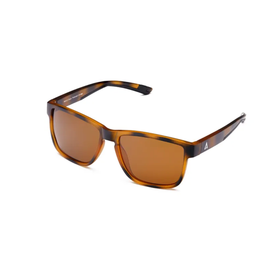 Lentes Payle Draco