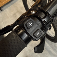 Turbo Levo Expert 2019