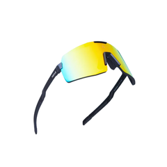 Lentes Payle Pegasus