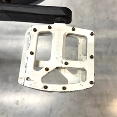 Turbo Levo Expert 2019
